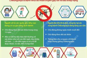 Khuyến cáo Phòng bệnh CHIKUNGUNYA